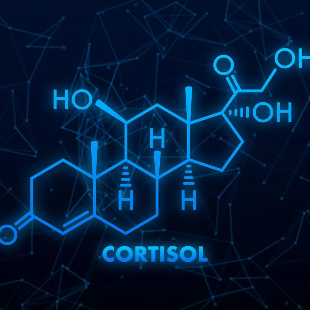 Cortisol senken? – Stress verstehen und mit Aromatherapie zur Ruhe kommen